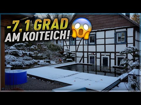 Frost ohne Teichabdeckung am 37.400l Koiteich!