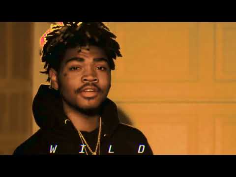 (FREE) SOB x RBE x Benny x Mike Sherm Type Beat - Wild (prod. J24K)