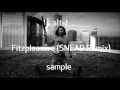 alt-J - Fitzpleasure [SNEAD Remix] 