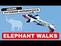 How to 3D like a pro: Elephant Walks (stick camera)