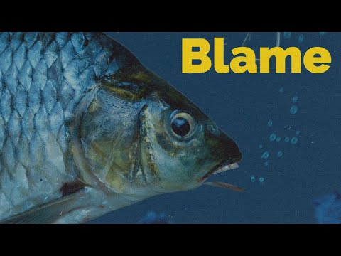 George Moir - Blame (Official Video)