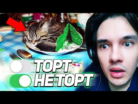 🎂Торт или Не Торт! Угадай вместе с WOOODYYYY😃