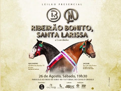 Leilão Presencial Ribeirão Bonito, Santa Larissa E Convidados