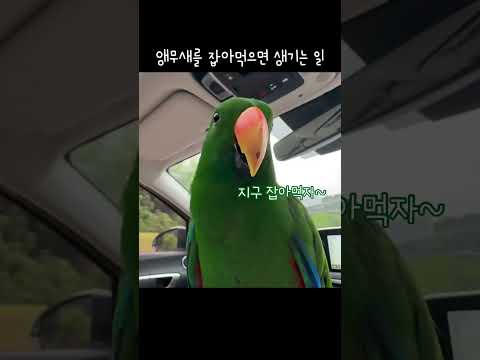 아이콘
