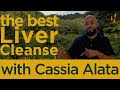 EASY & POTENT Liver cleanse W/ Cassia Alata | High Grade Healing Cleansing. | Group Cleanse