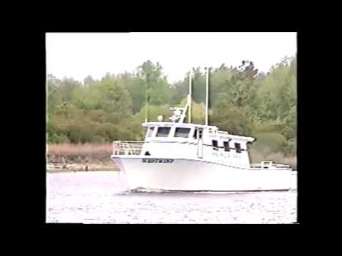 CALIFORNIA \\//\\// flk white maniakk