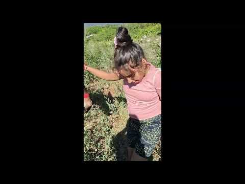 CATAMARCA PUERTA AMBATO BANDA SUD - EL MEJOR VIDEO - DOCUMENTAL (PARTE 1)