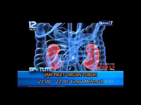 Patogen perempuan lava forte Tenang penis kecil