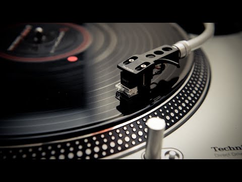 Bobby Mack & Night Train | Honeytrap