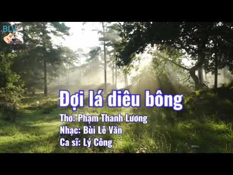 Đợi lá diêu bông - Lý Công