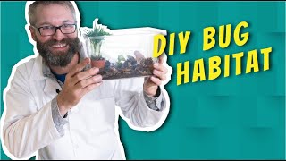 DIY Bug Habitat! | Buggin