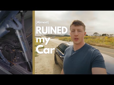 NEVER Park Under Trees! (Car Maintenance Tips)