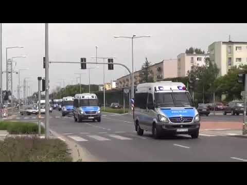 Vin Vinci ft. Królik - Zamach Stanu