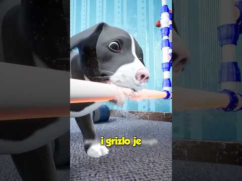Spasili su Joj Zivot😱