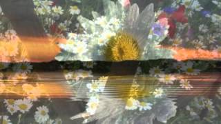 Luz Casal. Busco entre mis recuerdos