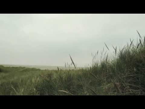 ILLUTE // mein matrose