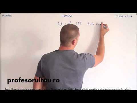 17   Matrice   matrice   partea 3 - profesorultau.ro