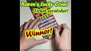 Raven's Lucky Coin! Multi use pocket token!