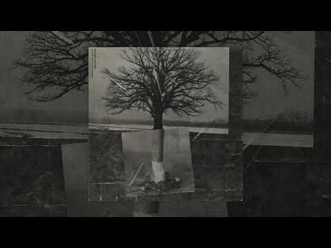 Hodak/Miroff - listopadowy spacer