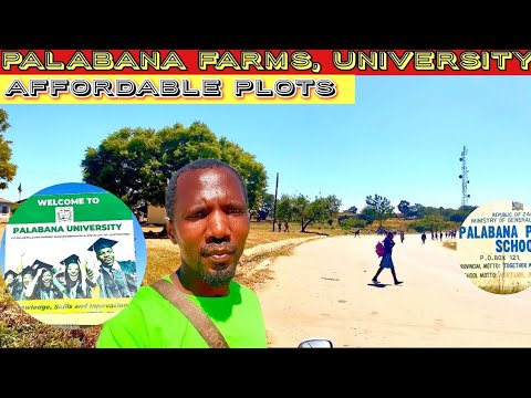 Palabana farms in Chongwe area of Zambia || Palabana University || Affordable plots in this area.