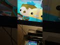 Octonauts Creature Report Leatherback Sea Turtle