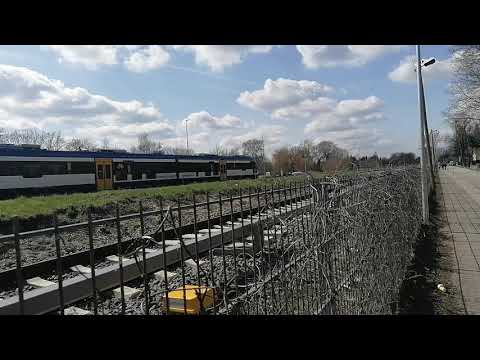 NEB Pesa auf der Ostbahn Durchfahrt Fredersdorf