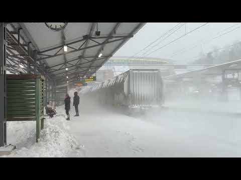 Svenska Tåg del 55/Swedish Trains part 55 - Tåg i Flemingsberg januari 2026