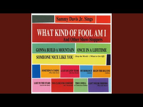 What Kind of Fool Am I