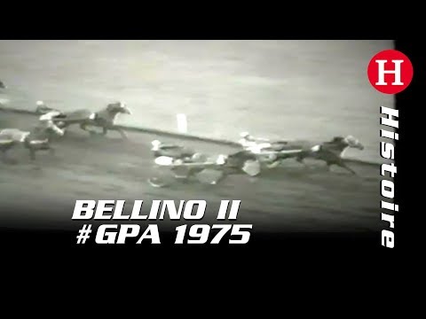 Légendes du #GPAmérique : BELLINO II