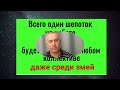 Этот шепоток - 7 сильных слов и враги на работе уймутся. Заговор защита