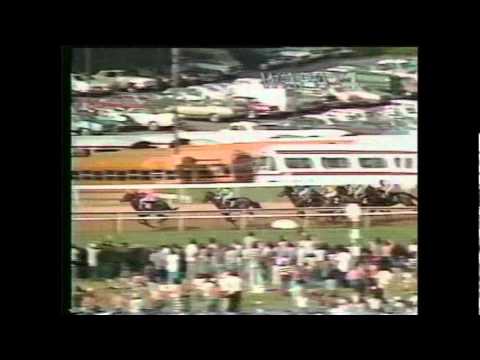 Bold Forbes - Preakness Stakes 1976