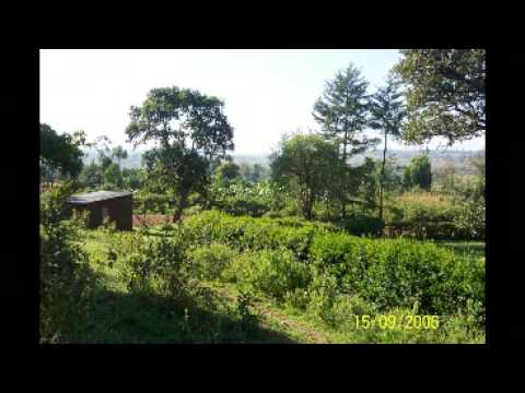 Fourplay - Anytime of day