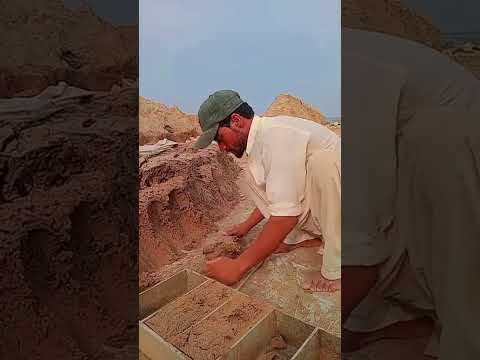 new vlog short viral video #music #love #travel #beach #javed #shortsviral