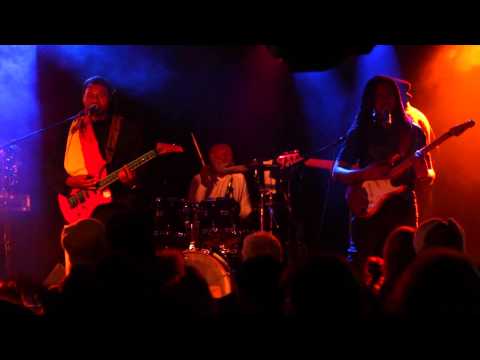 Can't Root Up This Tree