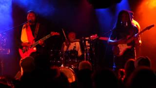 Can't Root Up This Tree