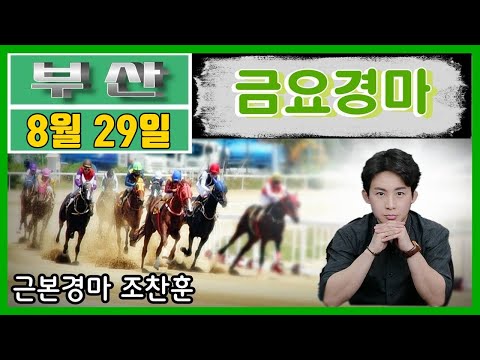 8/29-금요-부산-조찬훈-경마방송-
