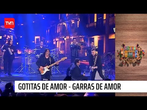 Gotitas de amor - Garras de amor | Olmué 2020