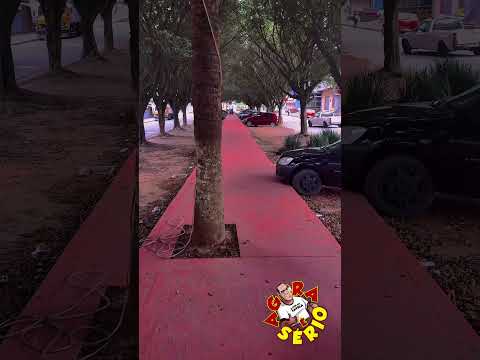 ESTÃO FURTANDO OS POSTE DE ILUMINAÇÃO DA PRAÇA DE PASSEIO DA CIDADE DE JUQUITIBA