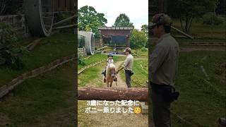 3歳になったお祝いに姫センでポニーに乗りました😉💞