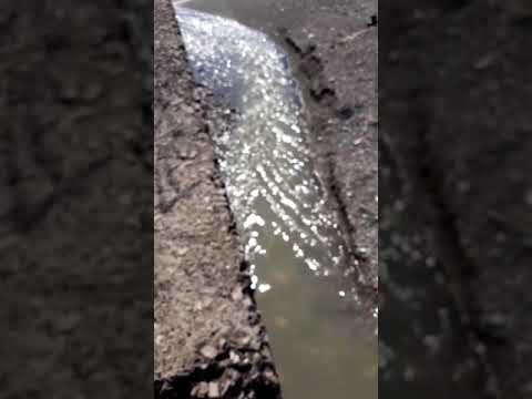 VIDEO GIOVANNI DI CAPUA