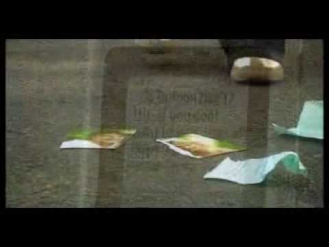 Droomverlore video