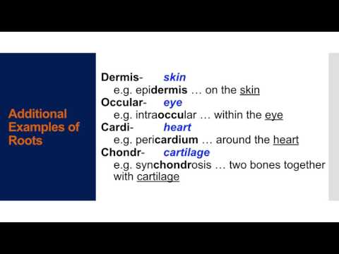 UMUC MedicalTerminology