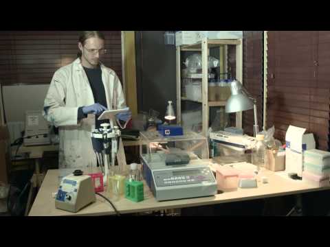 Создан искусственный сыр с натуральным вкусом. Фото.