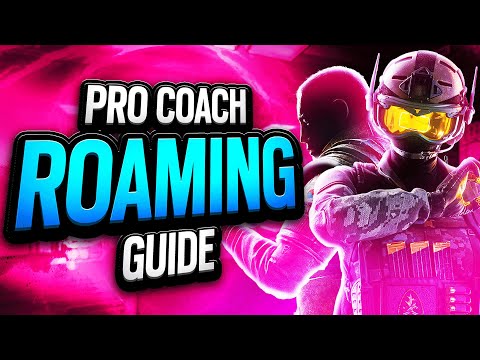 What Makes A Good Roamer? (IN-DEPTH GUIDE)