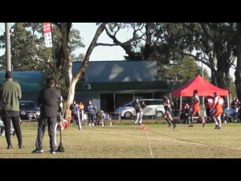 2017 NRL Victoria First Grade - Round 11 Highlights