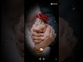 Meri Saans Saans Mere Yaar Ke Liye Whatsapp Status Shorts Hindi Ringtone