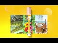 Aloha Beaches