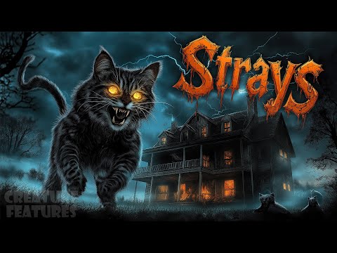 Strays (1991)