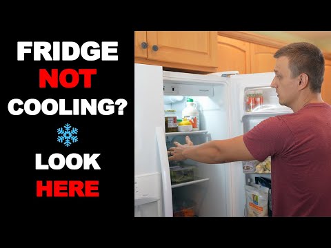 Frigidaire Fridge Not Cooling and The Easy Fix