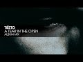 Tiësto - A Tear in the Open